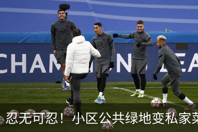 忍无可忍！小区公共绿地变私家菜园，凭什么让全体业主买单？