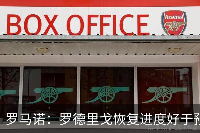 罗马诺：罗德里戈恢复进度好于预期，最快12月复出